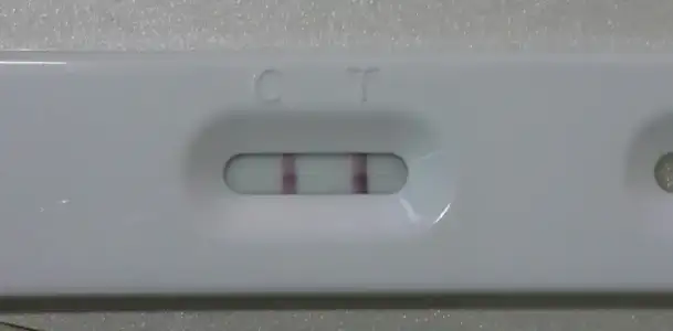 2014-12-13 21.31.40.webp