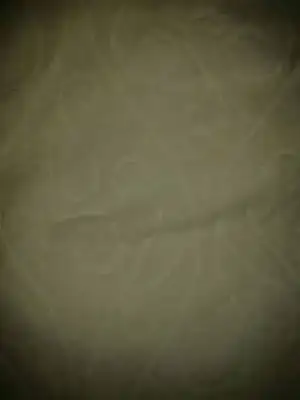 $1402744677240.webp