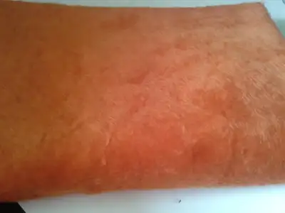 2014-12-16 13.23.19.webp