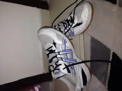 image.webp