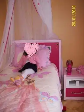 çilek cibinlik 5.webp