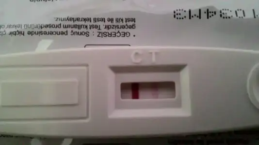 IMG-20141222-WA0000.webp