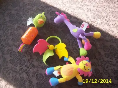 DCAM0002.webp