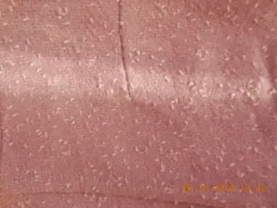 DSCN1004.webp