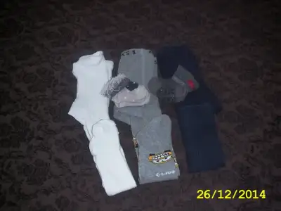 DCAM0024.webp