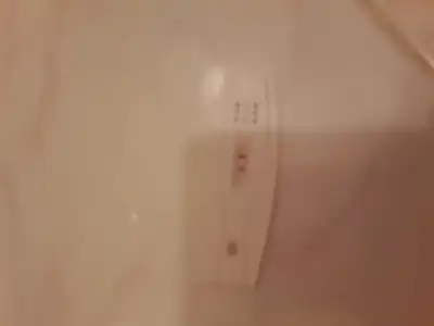 1419774449713.webp