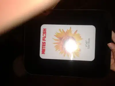 2014-12-29 08.55.34.webp