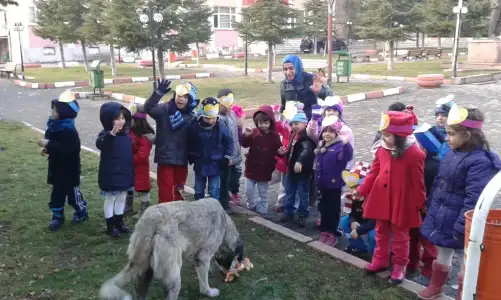 20141229_140617.webp