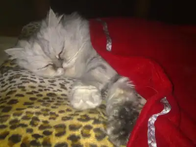 $190120101081.webp