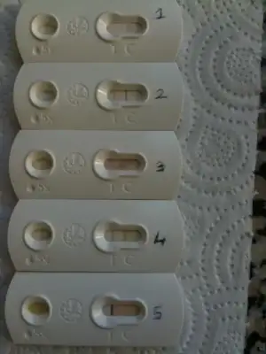 $SABAH 08.00  (5).webp