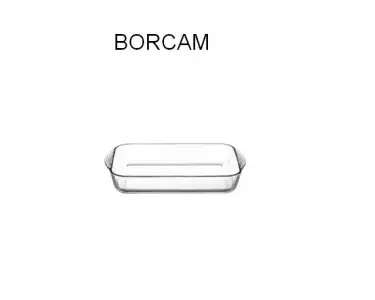 $BORCAM.webp
