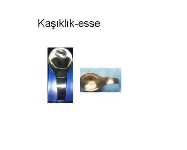 $KA&#350;IKLIK.webp