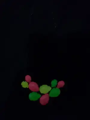 10915323_10152703558867054_7496949755088520050_n.webp