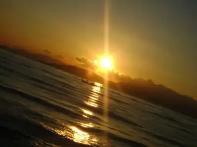 077F2FA5077BE292.webp