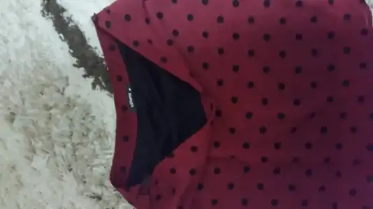 20150112_213009.webp