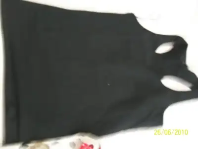 $100_2687.webp
