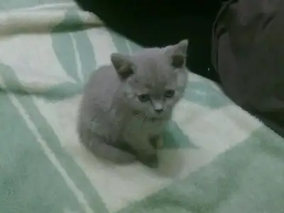 $29012011125.webp