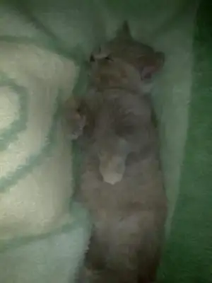 $06022011142.webp