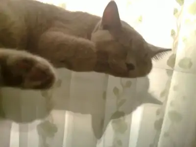$20110620_002.webp