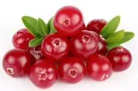 images.webp