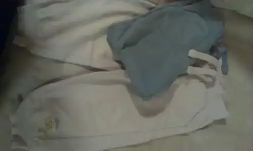 IMAG3556.webp