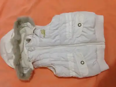 image (1).webp