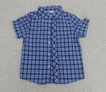 PA040456.webp