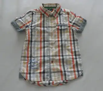 PA220454.webp