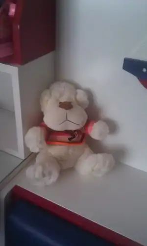 IMAG0100.webp