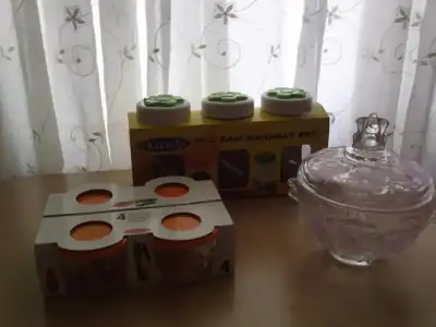 $P2488_300611.webp