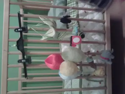 20150122_195249[1].webp
