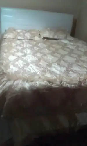 IMAG3623.webp IMAG3623.webp