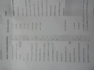 2015-01-26 23.59.52.webp