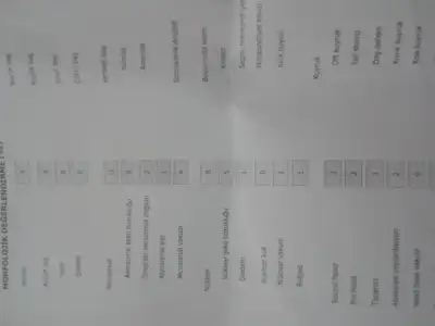 2015-01-27 00.00.59.webp