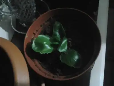 2015-01-27 21.53.28.webp