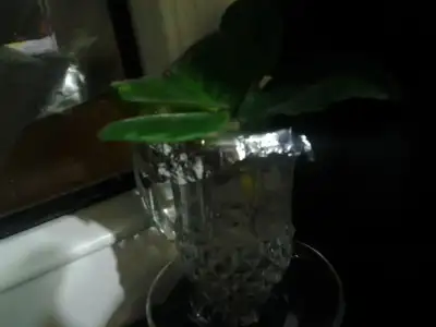 2015-01-27 21.53.44.webp