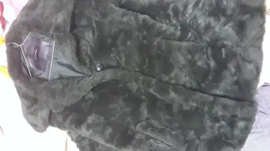 20150129_224556.webp