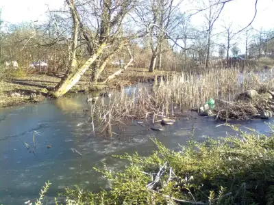 $Şüşü0747.webp $Şüşü0747.webp