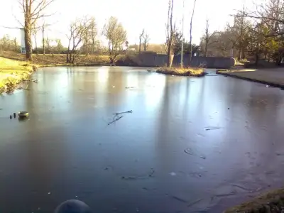 $Şüşü0750.webp $Şüşü0750.webp