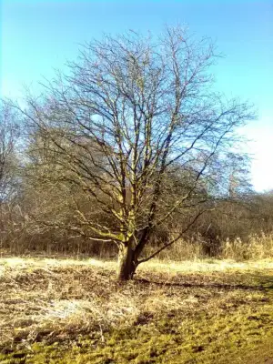 $Şüşü0753.webp $Şüşü0753.webp