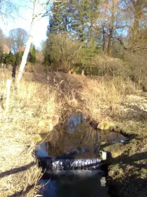 $Şüşü0764.webp $Şüşü0764.webp