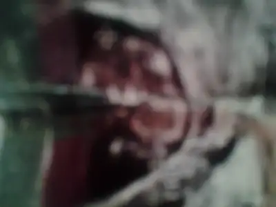 2015-01-30 14.02.38.webp