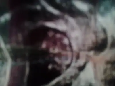 2015-01-30 14.03.18.webp