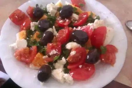 IMAG0614.webp