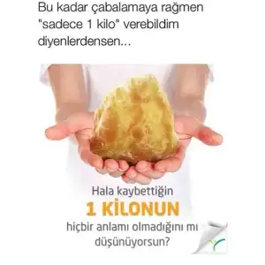 10885428_778238072230854_2232166887341136966_n.webp