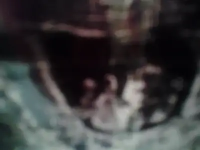 2015-02-05 13.47.38.webp