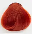 $colorsnatural-8-44-mec.webp