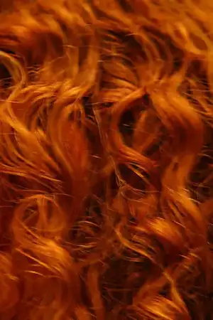 $i-always-think-red-hair-is-a-sign-of-intelligence.webp