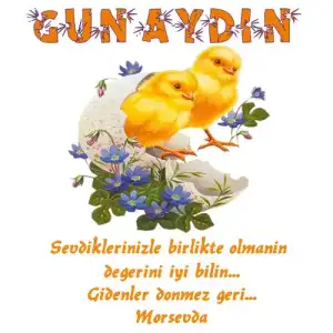 $gunaydin4zx4.webp