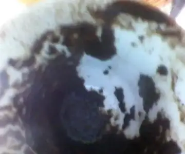 $Snapshot_20110706_1.webp